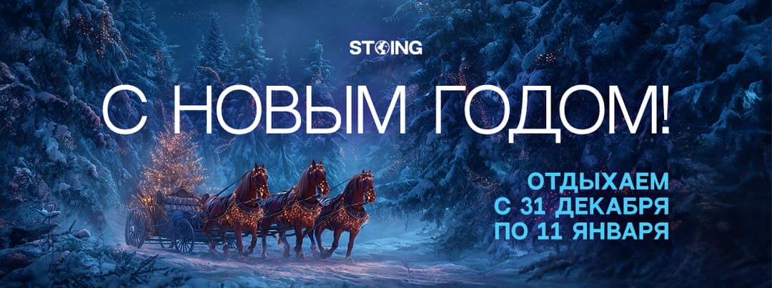 Отдыхаем до 12 января!