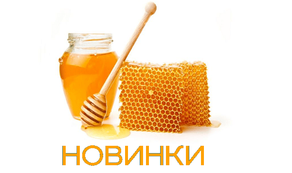 Мёд на 100ing.ru!