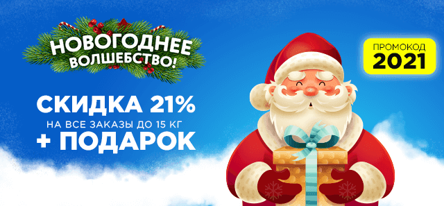 Новогоднее волшебство на 100ing.ru