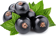 Ароматизатор Черная Смородина купить