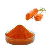 Купить Экстракт моркови сухой (плод) 100 гр