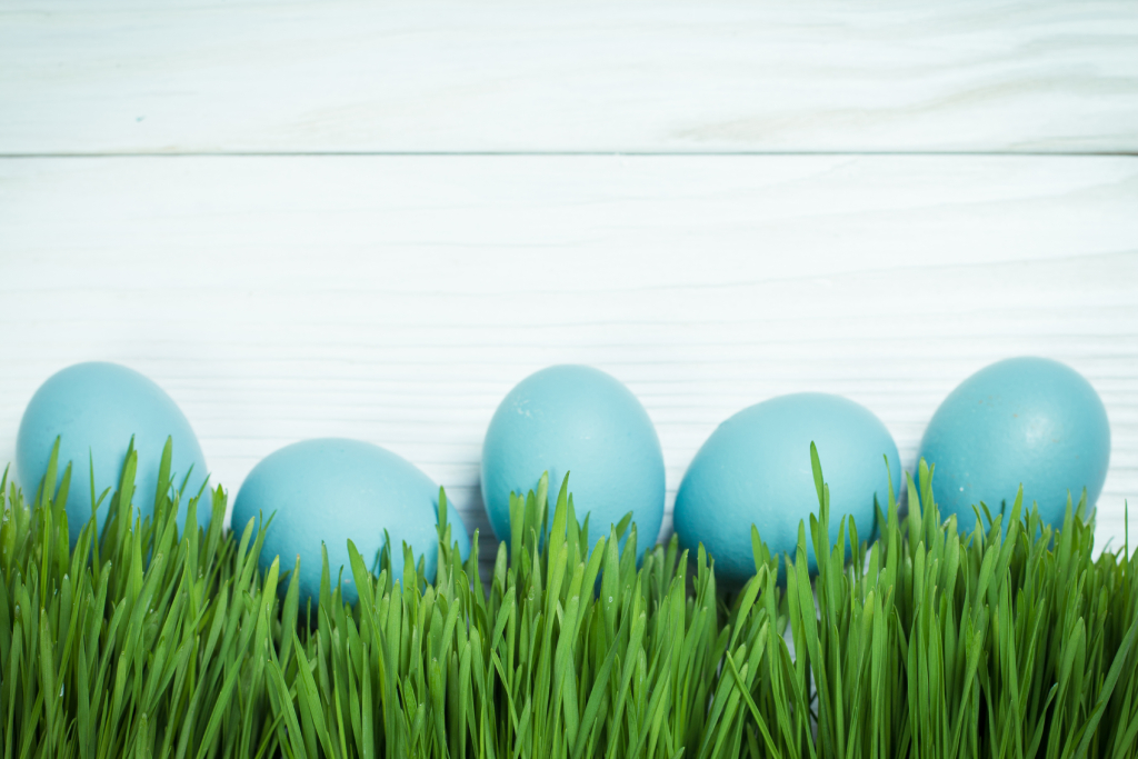 каким натуральным красителем красить яйца в синий цвет